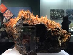 -湖南省地质博物馆