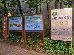 -缙云山景区