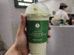 -茉酸奶(春熙路店)
