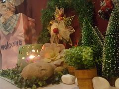 -ventus spa 沙巴亚庇正宗精油按摩会所