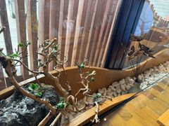 -尚香汤包文博馆(合兴路店)