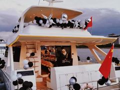 -InParty·游艇求婚策划生日派对布置(世纪大道店)