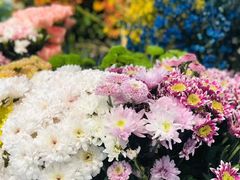 -万商花鸟市场