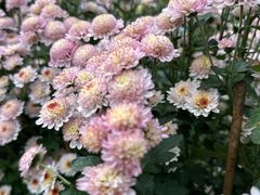 -贵州省植物园
