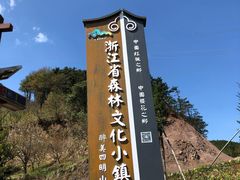 -四明山国家森林公园