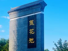 -莲花池公园