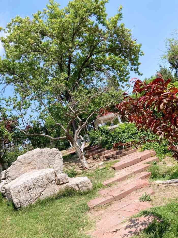 二宫公园-"满满的回忆杀,碰碰车,旋转木马,蹦蹦床,."-大众点评移动版