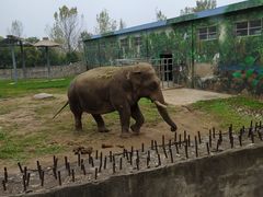 -西安秦岭野生动物园