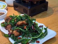 -滇铺子·云南特色菜·第九届野生菌美食节(东风东路c86店)