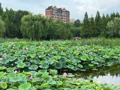 -前关湿地公园