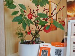 -瑶舍头疗·瑶浴·芳香热石SPA(五洲国际店)