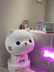 -咪咪专业脱毛连锁机构