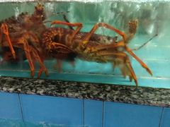 -华威西营里农产品批发市场
