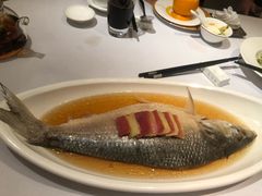 清蒸鲥鱼-老洋房花园饭店(绍兴路店)