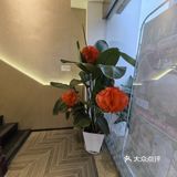 好吃到爆的家常菜｜健康清淡粉面也可以巨好吃！