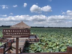 -焦岗湖旅游度假区