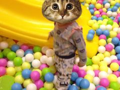 -水善汇温泉洗浴汗蒸会馆(中泽城店)