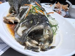 -大锅强·蒸海鲜青岛菜(吾悦广场店)