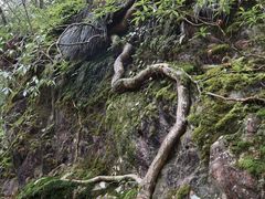 -西岭雪山大飞水景区