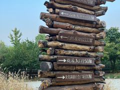 -北京西山国家森林公园