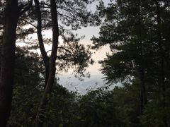 景点-白云山风景名胜区