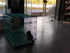 -佳百利宠物(荣乐中路115弄小区店)