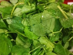 豌豆尖-花水湾红太阳牛肉汤锅