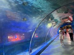 -北国之春国宴(乌兰察布店)