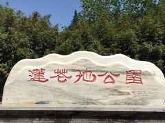 -莲花池公园
