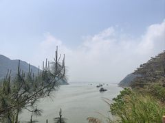 -羚羊峡古栈道森林公园