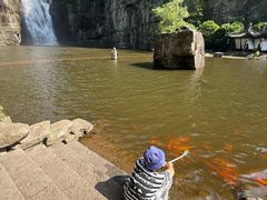 -刘伯温故里景区百丈漈