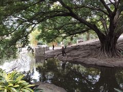 -晓港公园