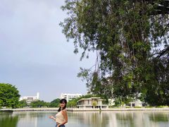 -顺德职业技术大学