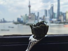 -上海和平饭店-华懋阁 The Cathay Room