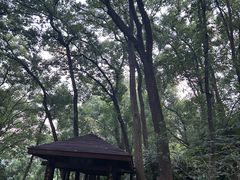 -忠山公园