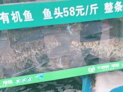 -好灶头妈妈菜·柴火灶台鱼·千岛湖土菜地标美食