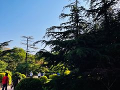 -莲花池公园