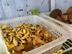 -菌之家·专业纯野生菌火锅·特色炒菌