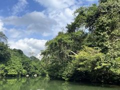-江西龙虎山景区