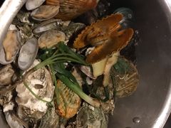 -土蚝·高压锅生蚝(百姓美食街店)