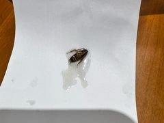 -六禄面家(芳和分店)