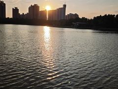 -莲花池公园