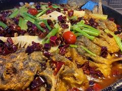 -老板恋上鱼(恒隆广场店)