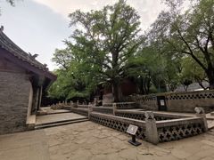-晋祠公园