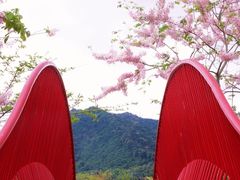 -白石龙音乐公园