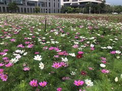 -福州大学(旗山校区)