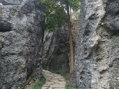 -寻龙山风景旅游区