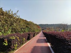 -龙寺生态园