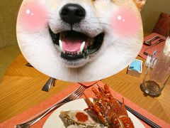 -艺厨风尚餐厅 · 桔钓沙莱华度假酒店