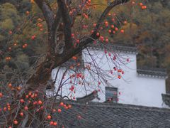 -丹山赤水风景名胜区